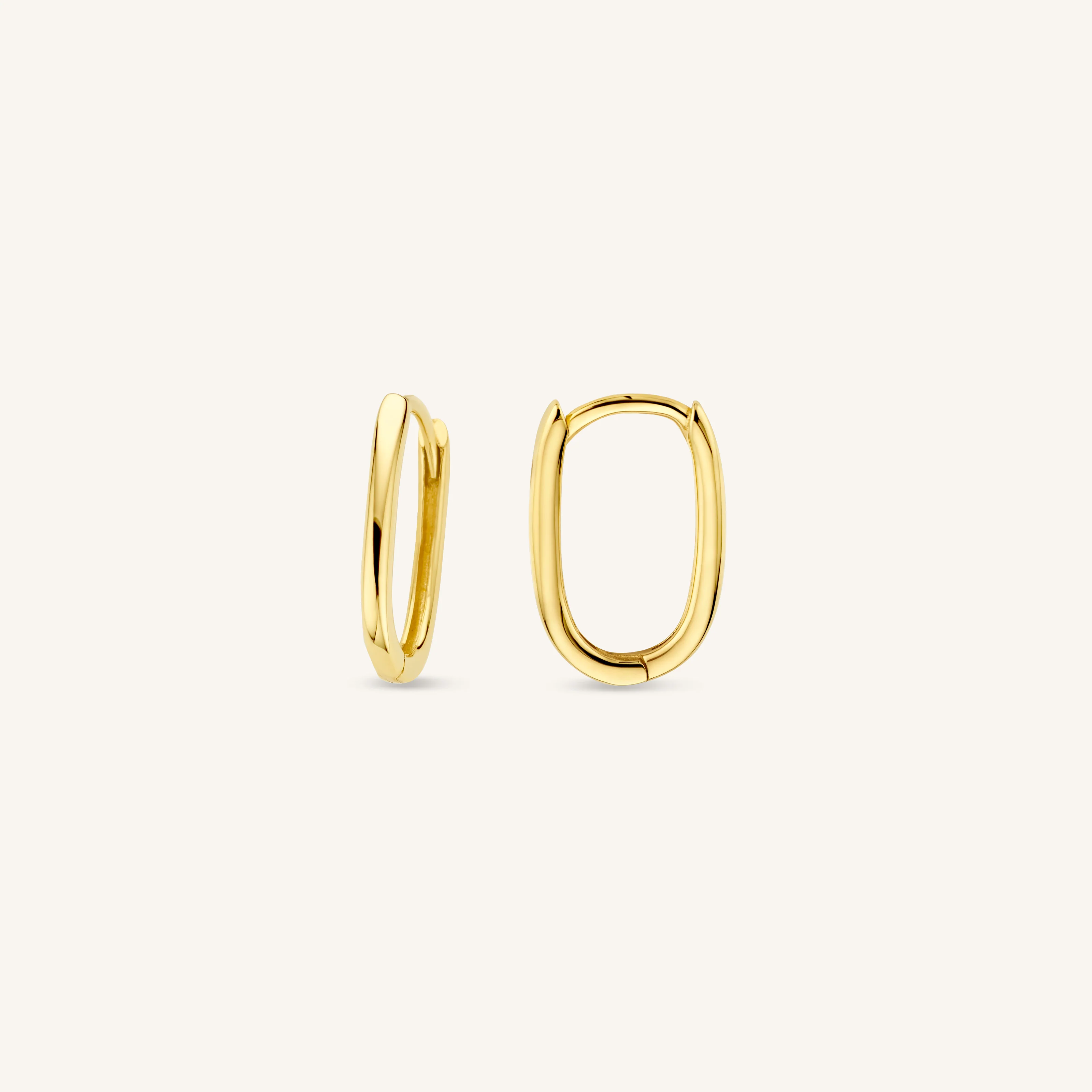 Ovate Earrings